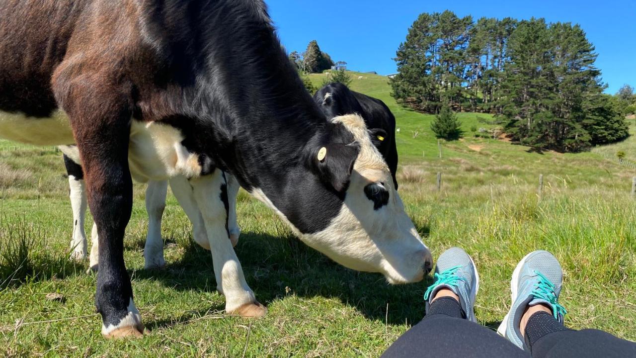 Pukeatua Farmstay Waimauku Extérieur photo